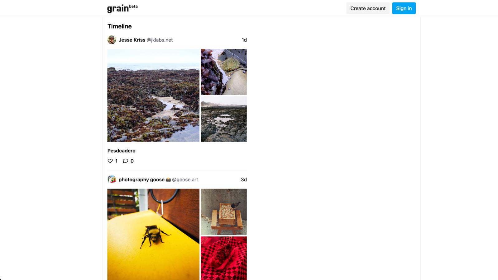 Grain featured image
