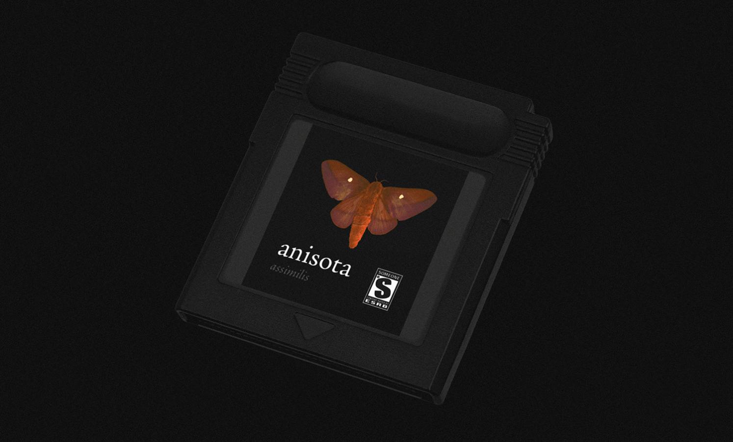 Anisota featured image